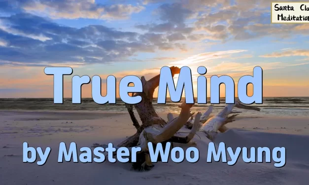 ✨ True Mind: the Universe Before the Universe | Master Woo Myung | Santa Clara Meditation
