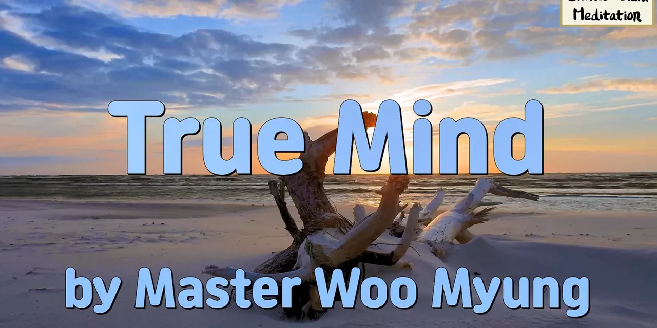 ✨ True Mind: the Universe Before the Universe | Master Woo Myung | Santa Clara Meditation