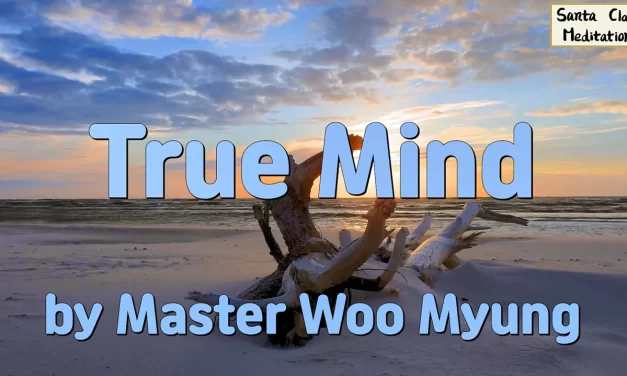 ✨ True Mind: the Universe Before the Universe | Master Woo Myung | Santa Clara Meditation