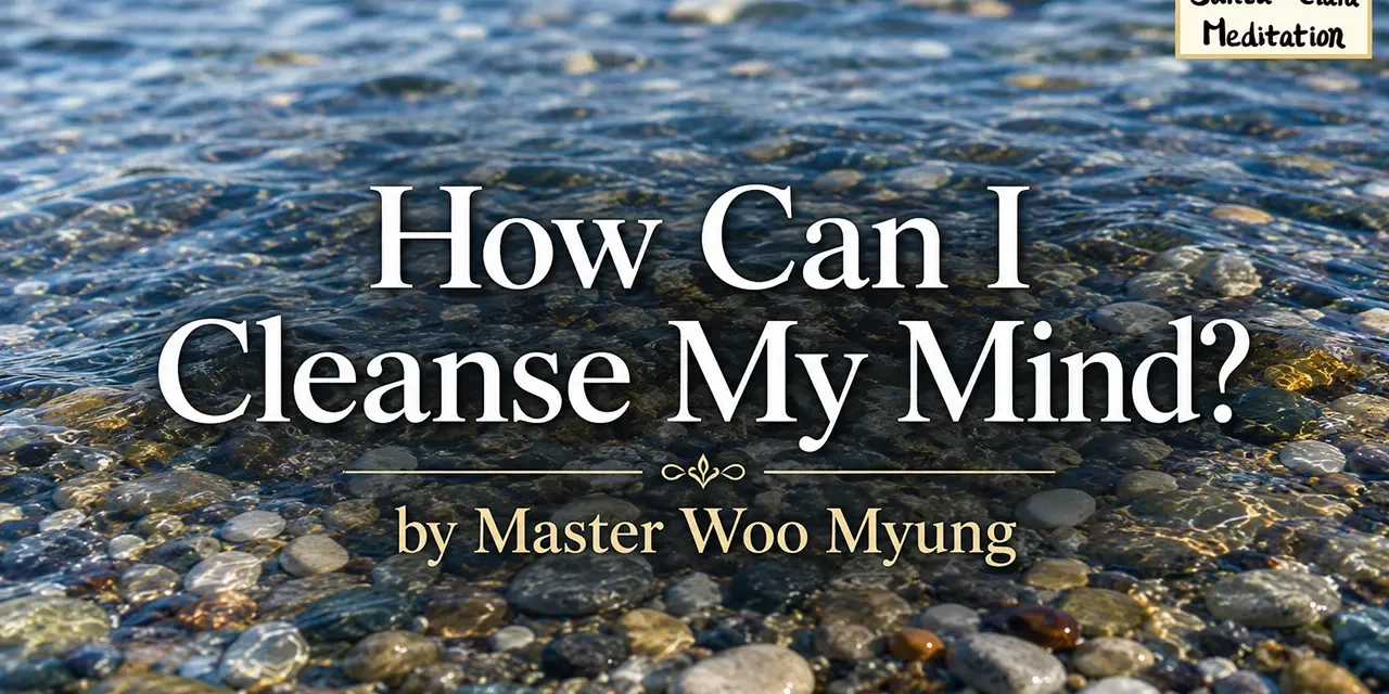 🧼 How Can I Cleanse My Mind? | Master Woo Myung | Santa Clara Meditation
