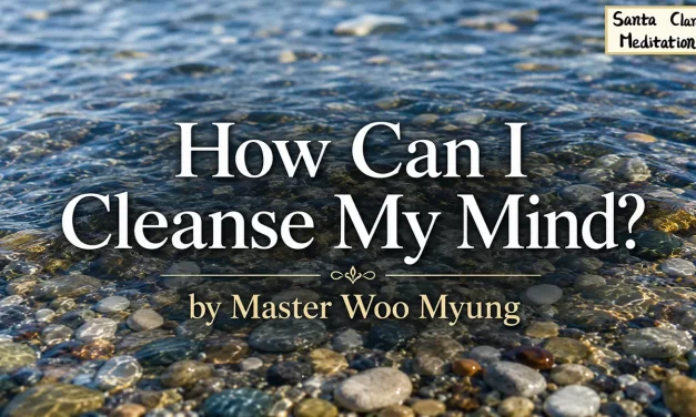 🧼 How Can I Cleanse My Mind? | Master Woo Myung | Santa Clara Meditation
