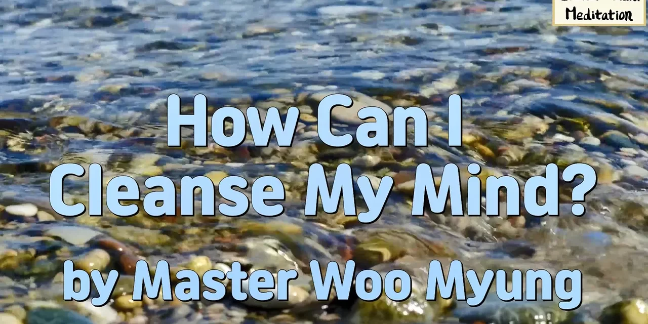 🧼 How Can I Cleanse My Mind? | Master Woo Myung | Santa Clara Meditation