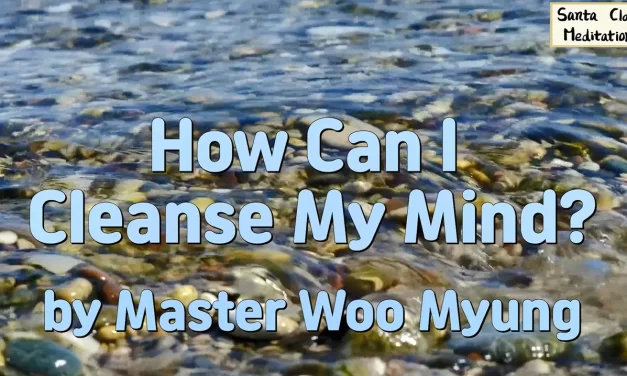 🧼 How Can I Cleanse My Mind? | Master Woo Myung | Santa Clara Meditation