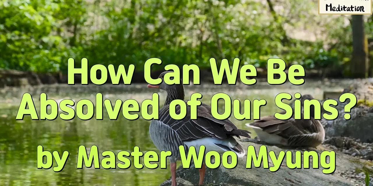 🕊️ How Can We Be Absolved of Our Sins? | Master Woo Myung | Santa Clara Meditation