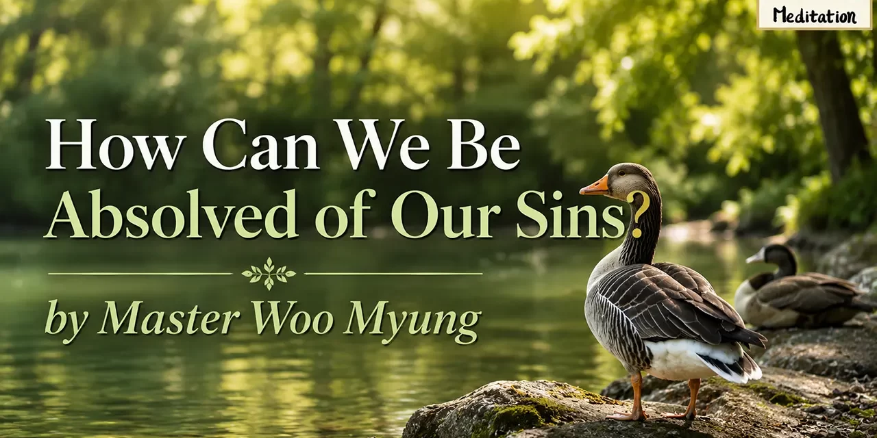 🕊️ How Can We Be Absolved of Our Sins? | Master Woo Myung | Santa Clara Meditation