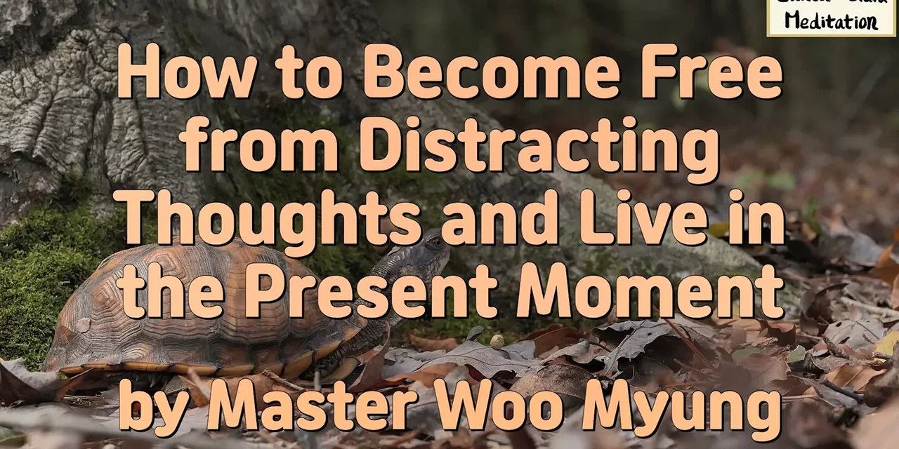 💡 How to Become Free from Distracting Thoughts and Live in the Present Moment | Master Woo Myung | Santa Clara Meditation