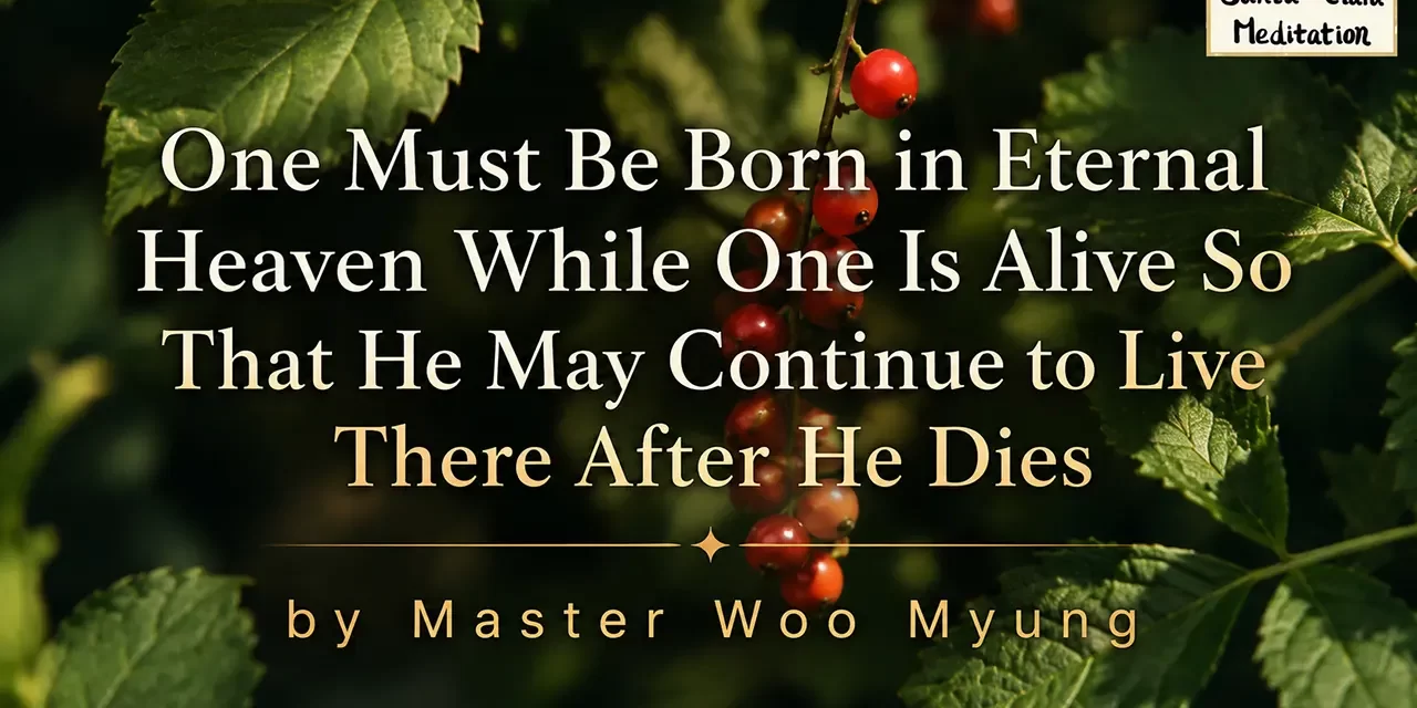 🌌 One Must Be Born in Eternal Heaven While One Is Alive So That He May Continue to Live There After He Dies | Master Woo Myung