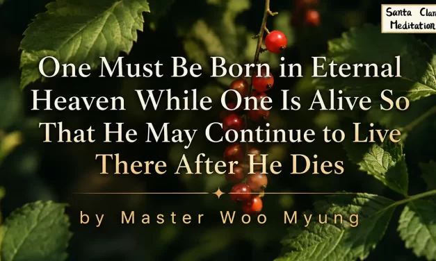 🌌 One Must Be Born in Eternal Heaven While One Is Alive So That He May Continue to Live There After He Dies | Master Woo Myung