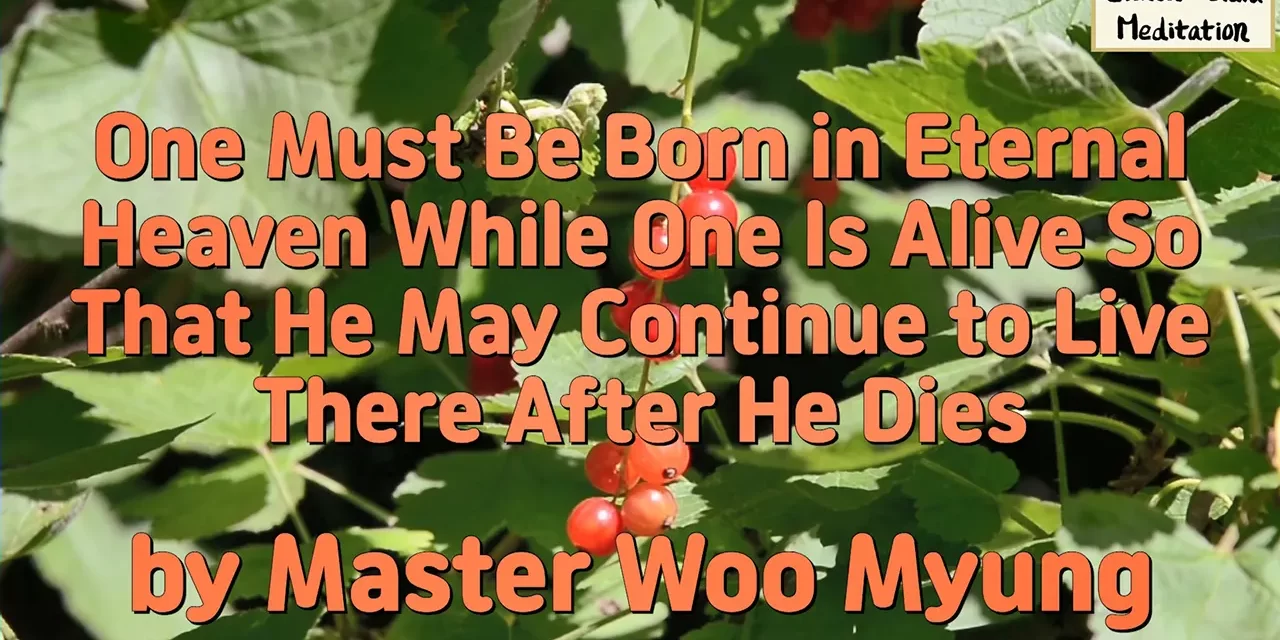 🌌 One Must Be Born in Eternal Heaven While One Is Alive So That He May Continue to Live There After He Dies | Master Woo Myung