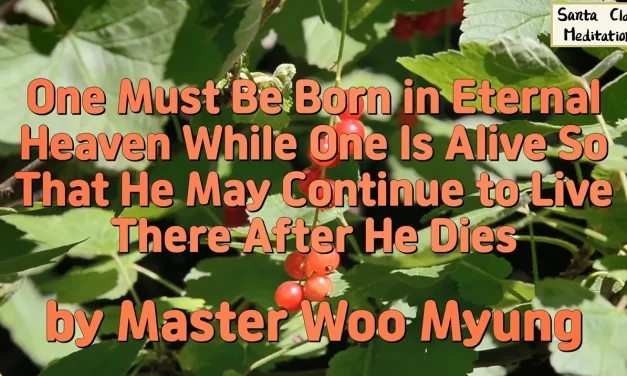🌌 One Must Be Born in Eternal Heaven While One Is Alive So That He May Continue to Live There After He Dies | Master Woo Myung