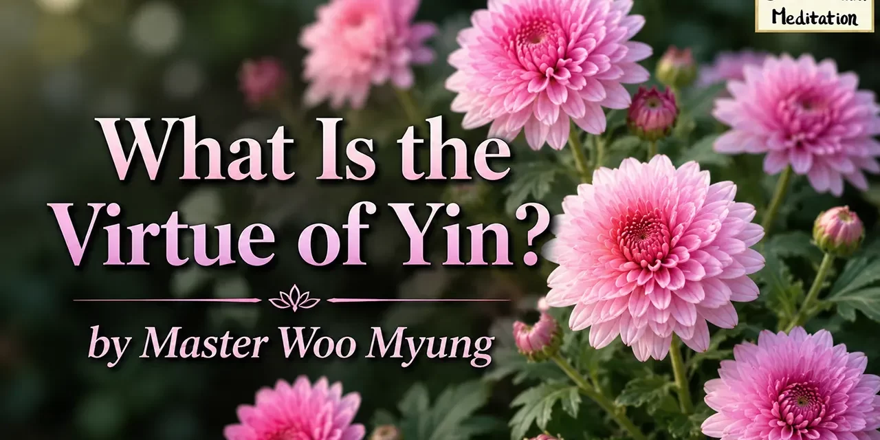 🌙 What Is the Virtue of Yin? – Master Woo Myung | Santa Clara Meditation