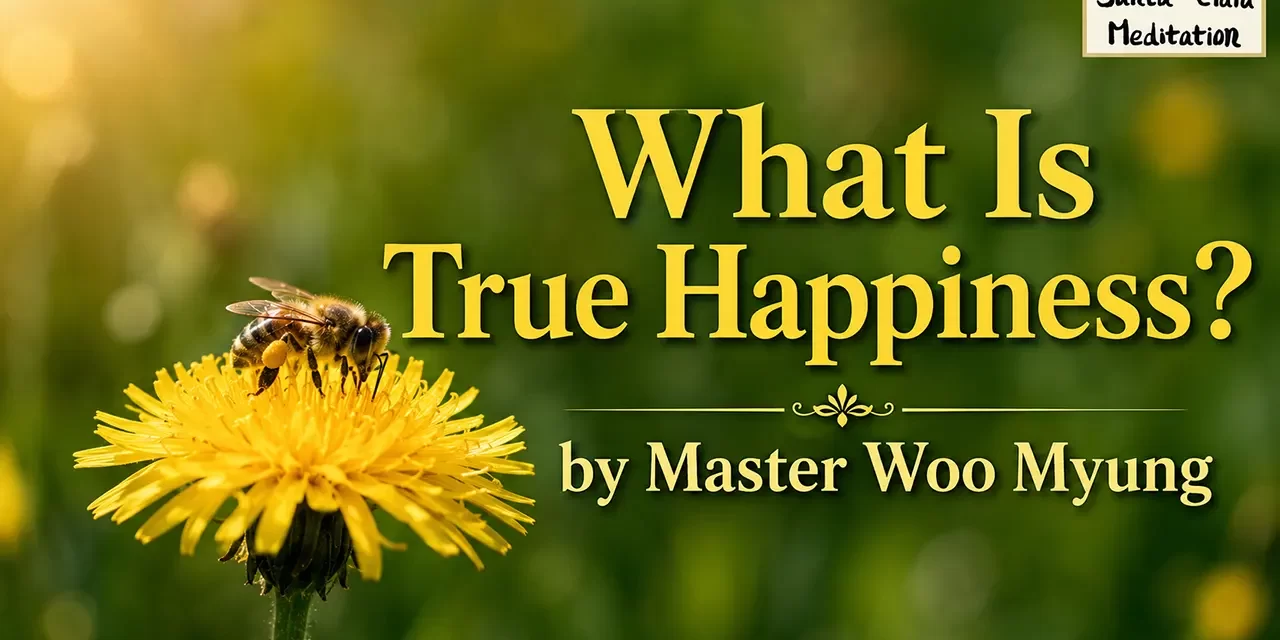 🌞 What Is True Happiness? A Mind Beyond Possession | Master Woo Myung | Santa Clara Meditation