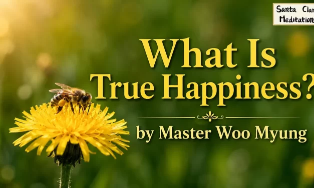 🌞 What Is True Happiness? A Mind Beyond Possession | Master Woo Myung | Santa Clara Meditation