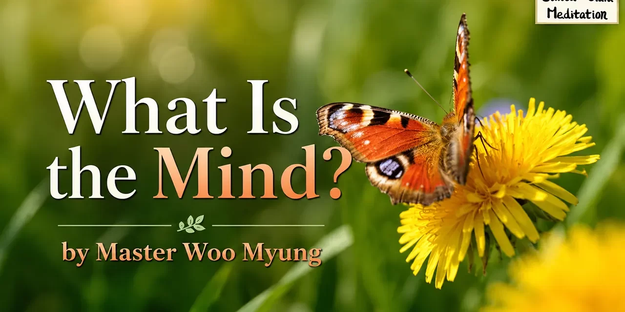 π What Is the Mind?: Discover the Source of All and Nothing β Master Woo Myung | Santa Clara Meditation