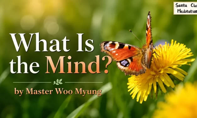 🌀 What Is the Mind?: Discover the Source of All and Nothing – Master Woo Myung | Santa Clara Meditation