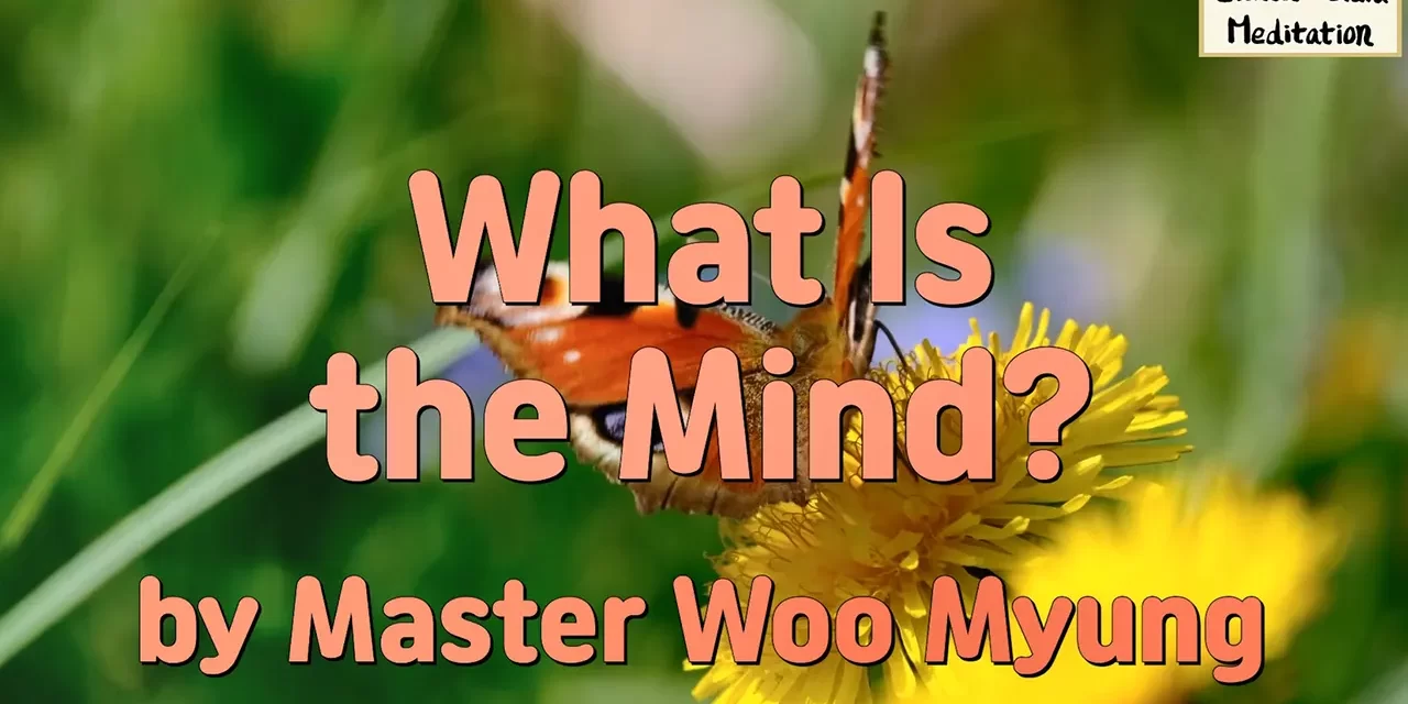 🌀 What Is the Mind?: Discover the Source of All and Nothing – Master Woo Myung | Santa Clara Meditation