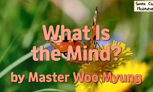 🌀 What Is the Mind?: Discover the Source of All and Nothing – Master Woo Myung | Santa Clara Meditation