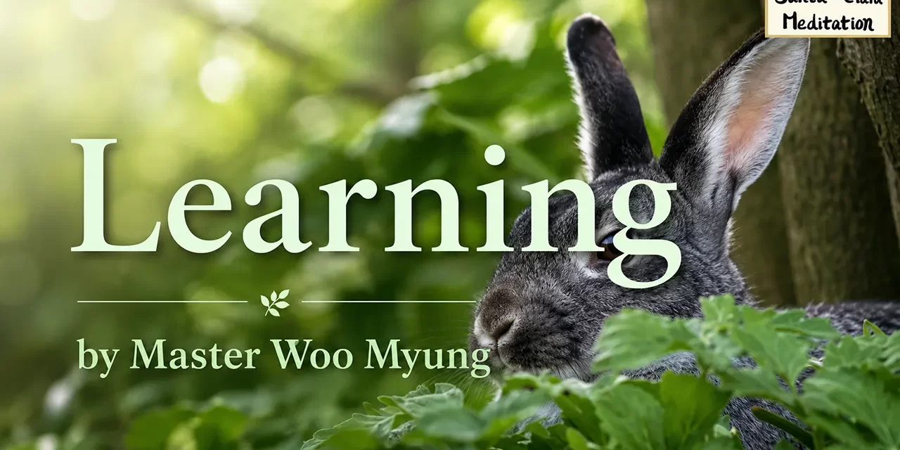 π Learning: How to Escape Foolishness and Find Your True Self | Master Woo Myung | Santa Clara Meditation