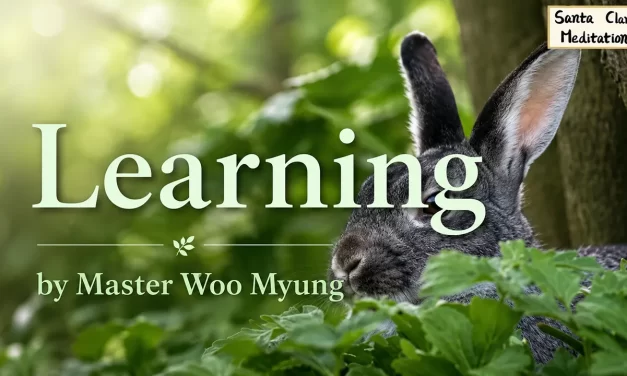 📘 Learning: How to Escape Foolishness and Find Your True Self | Master Woo Myung | Santa Clara Meditation