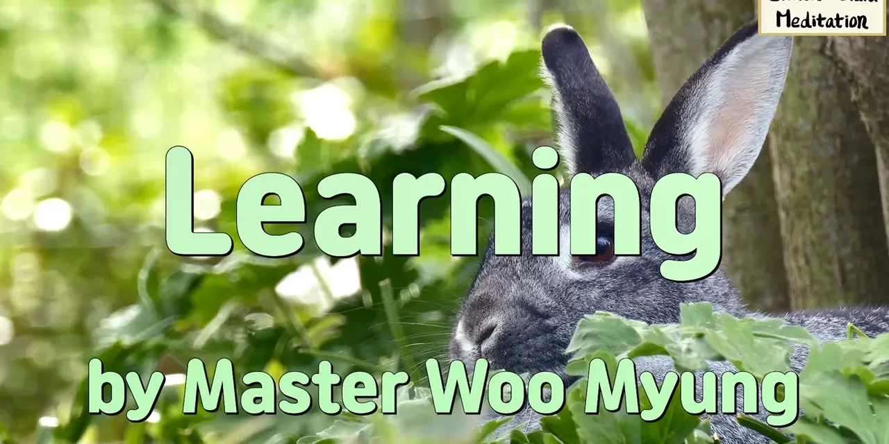 📘 Learning: How to Escape Foolishness and Find Your True Self | Master Woo Myung | Santa Clara Meditation