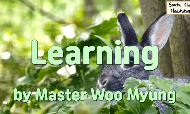 📘 Learning: How to Escape Foolishness and Find Your True Self | Master Woo Myung | Santa Clara Meditation