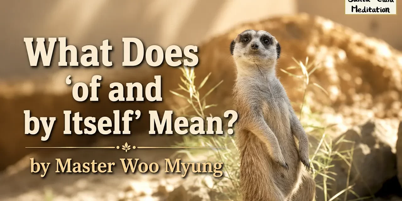 ✨ What Does ‘Of and By Itself’ Mean? – Master Woo Myung | Santa Clara Meditation