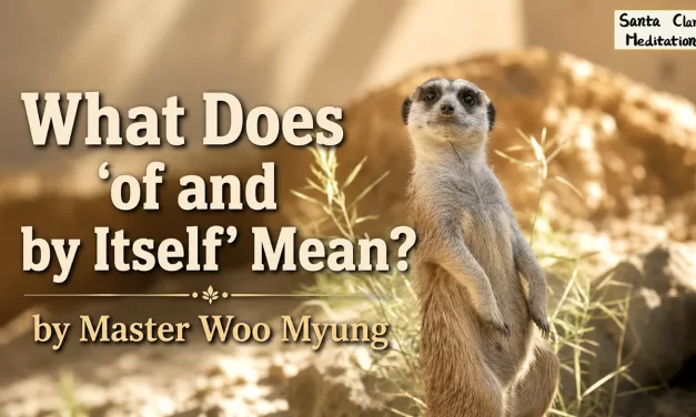 ✨ What Does ‘Of and By Itself’ Mean? – Master Woo Myung | Santa Clara Meditation