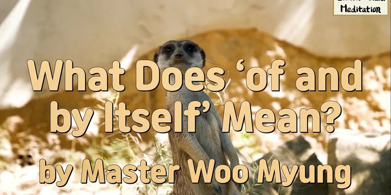 ✨ What Does ‘Of and By Itself’ Mean? – Master Woo Myung | Santa Clara Meditation