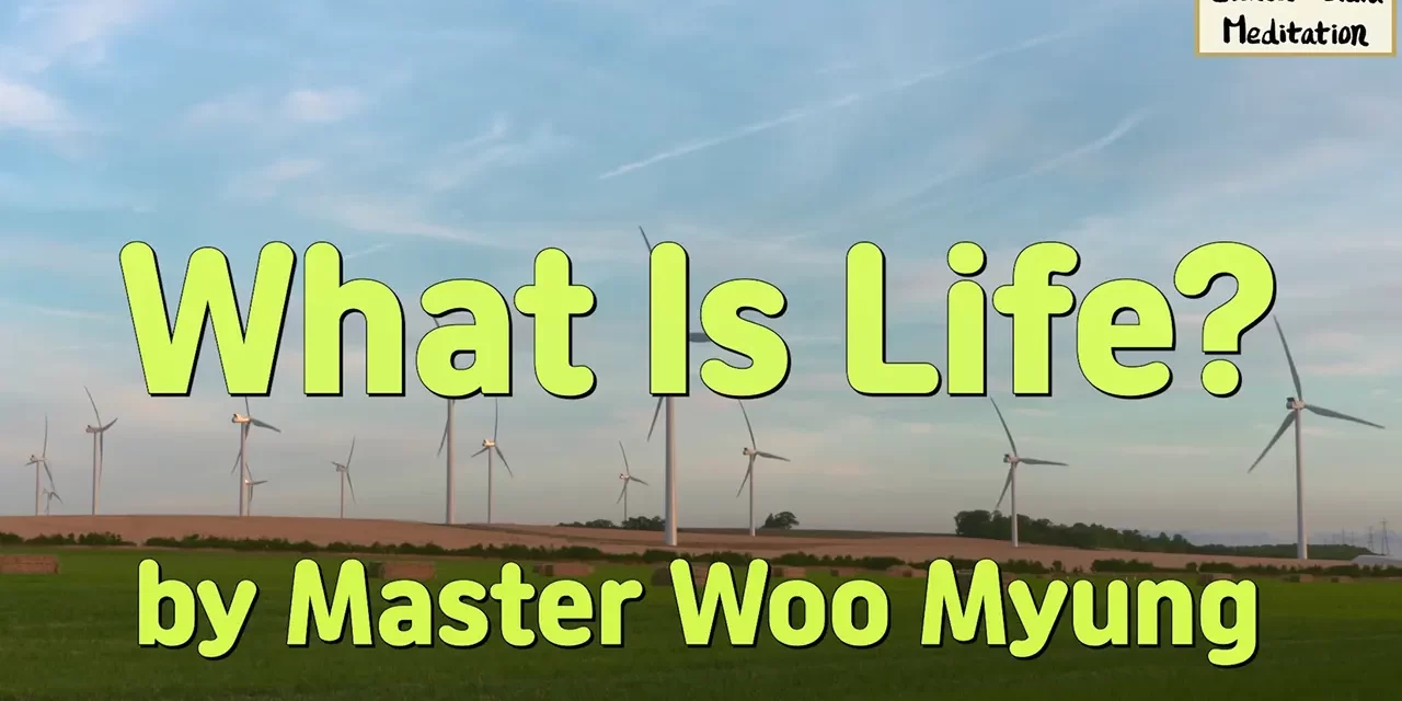 🌱 What Is Life?: Rebirth from the Source | Master Woo Myung | Santa Clara Meditation