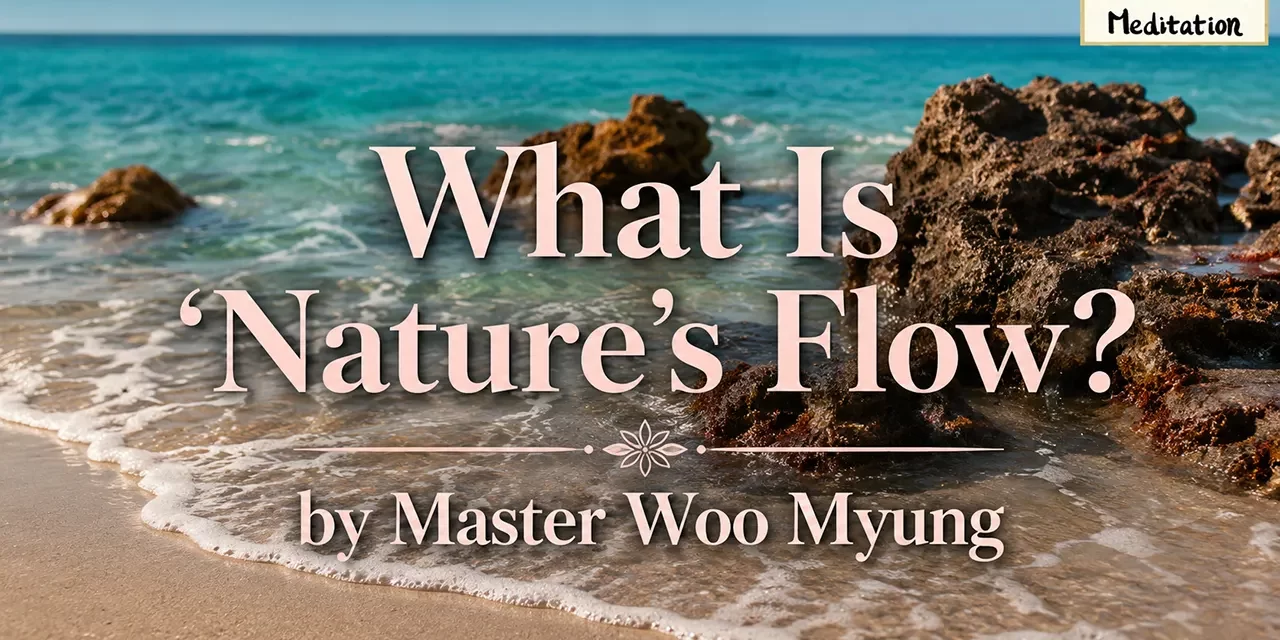 🌊 What Is Nature’s Flow?: The Wisdom of Living Without Conflict | Master Woo Myung | Santa Clara Meditation