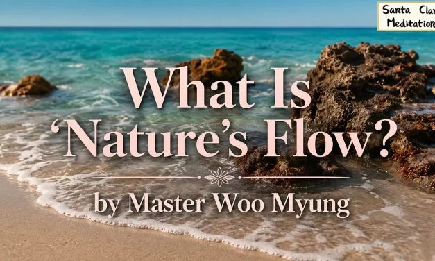 🌊 What Is Nature’s Flow?: The Wisdom of Living Without Conflict | Master Woo Myung | Santa Clara Meditation