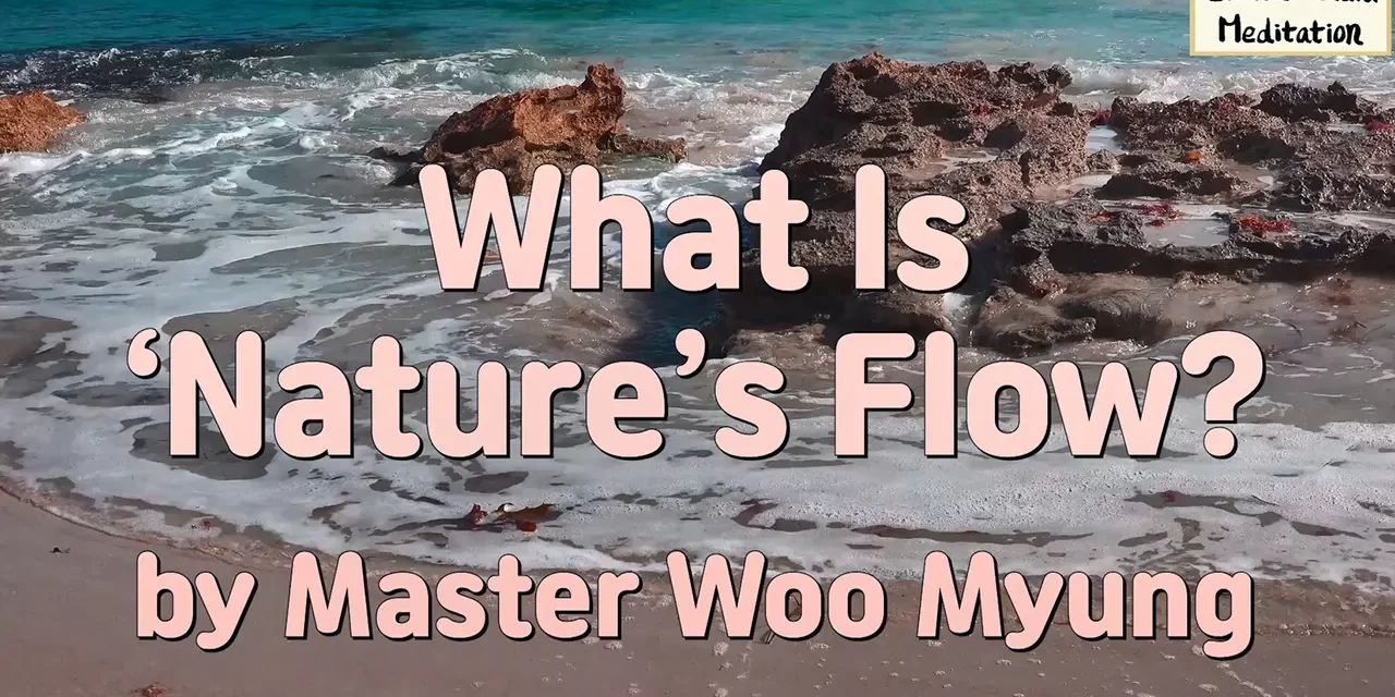 🌊 What Is Nature’s Flow?: The Wisdom of Living Without Conflict | Master Woo Myung | Santa Clara Meditation