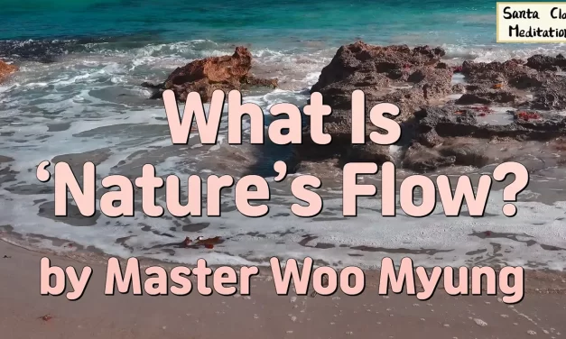 🌊 What Is Nature’s Flow?: The Wisdom of Living Without Conflict | Master Woo Myung | Santa Clara Meditation