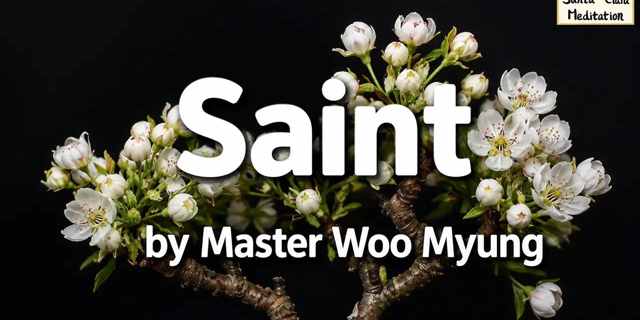 🌿 Saint: Becoming One with Truth – Master Woo Myung | Santa Clara Meditation
