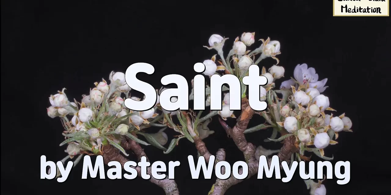 🌿 Saint: Becoming One with Truth – Master Woo Myung | Santa Clara Meditation