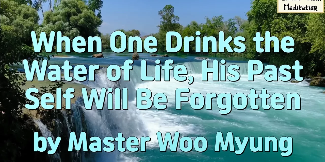 🌊 When One Drinks the Water of Life, His Past Self Will Be Forgotten | Master Woo Myung | Santa Clara Meditation