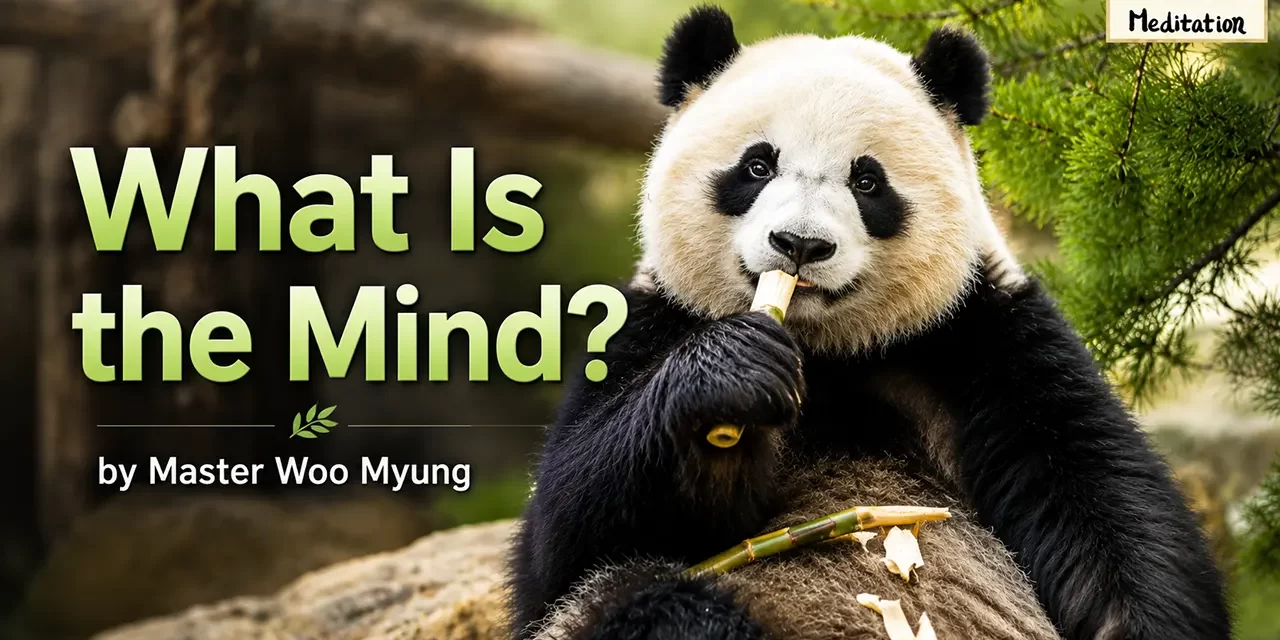 π§ What Is the Mind?: True Mind vs. False Mind | Master Woo Myung | Santa Clara Meditation