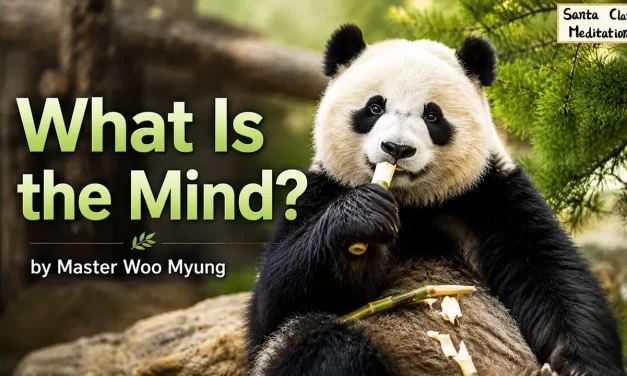 🧘 What Is the Mind?: True Mind vs. False Mind | Master Woo Myung | Santa Clara Meditation