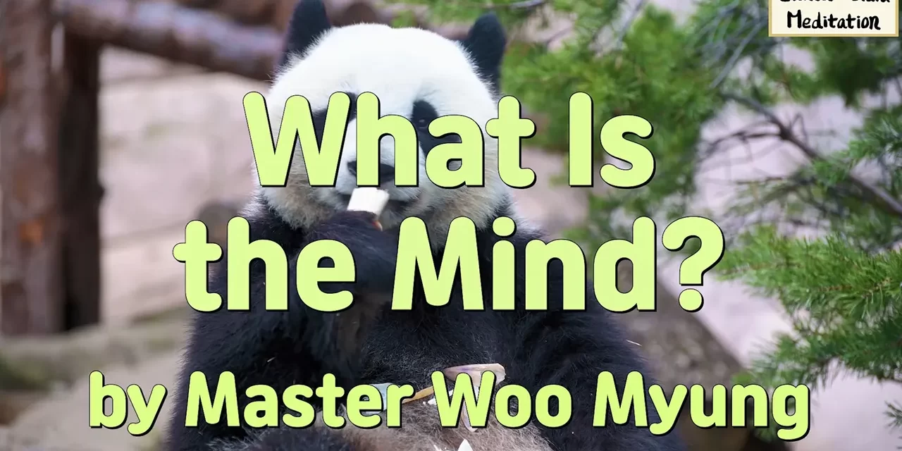🧘 What Is the Mind?: True Mind vs. False Mind | Master Woo Myung | Santa Clara Meditation