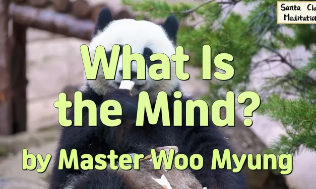 🧘 What Is the Mind?: True Mind vs. False Mind | Master Woo Myung | Santa Clara Meditation