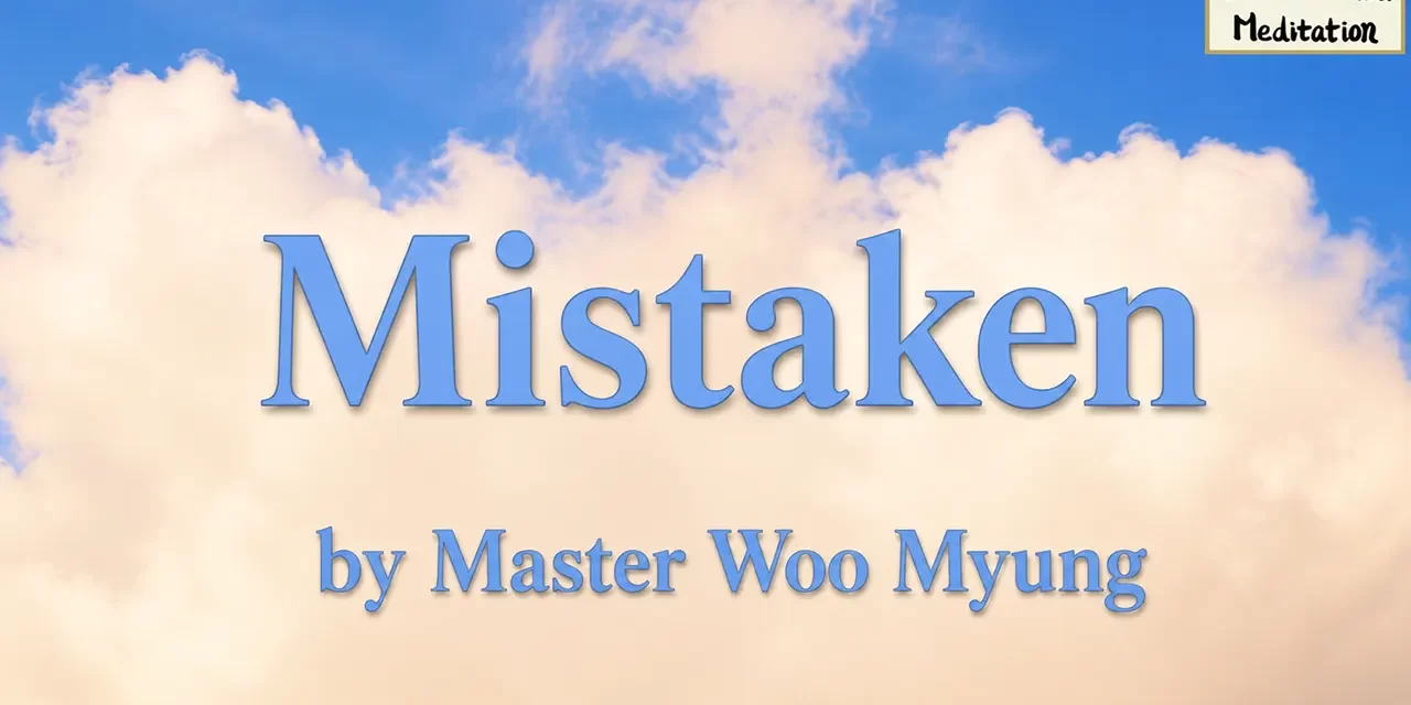 🌍 Mistaken: How the Mind Creates Division | Master Woo Myung | Santa Clara Meditation