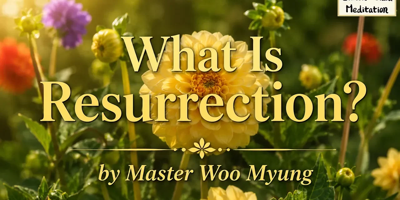 πͺ What Is Resurrection?: Rebirth in the Land of Truth | Master Woo Myung | Santa Clara Meditation