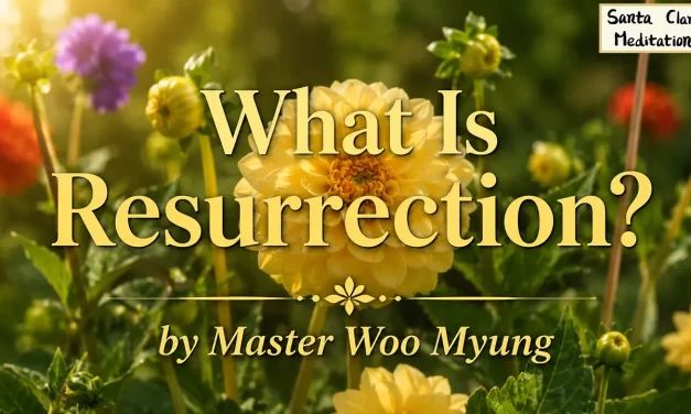 🪄 What Is Resurrection?: Rebirth in the Land of Truth | Master Woo Myung | Santa Clara Meditation