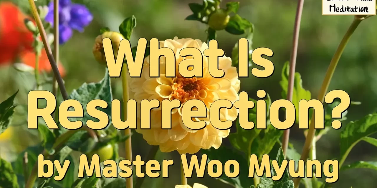 🪄 What Is Resurrection?: Rebirth in the Land of Truth | Master Woo Myung | Santa Clara Meditation