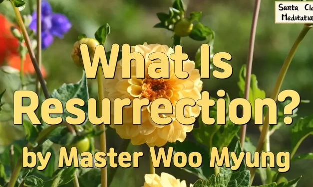 🪄 What Is Resurrection?: Rebirth in the Land of Truth | Master Woo Myung | Santa Clara Meditation
