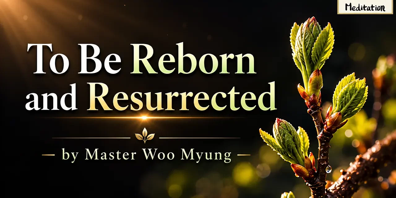 🌅 To Be Reborn and Resurrected in the True World | Master Woo Myung | Santa Clara Meditation