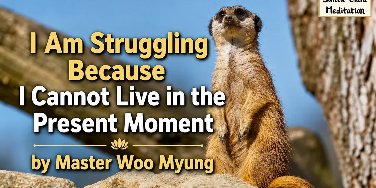 ⏳ I Am Struggling Because I Cannot Live in the Present Moment: Discard the False Mind – Master Woo Myung | Santa Clara Meditation