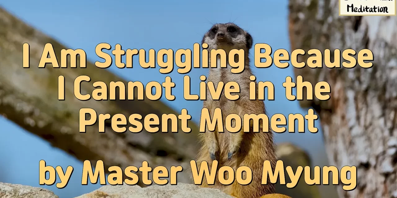 ⏳ I Am Struggling Because I Cannot Live in the Present Moment: Discard the False Mind – Master Woo Myung | Santa Clara Meditation