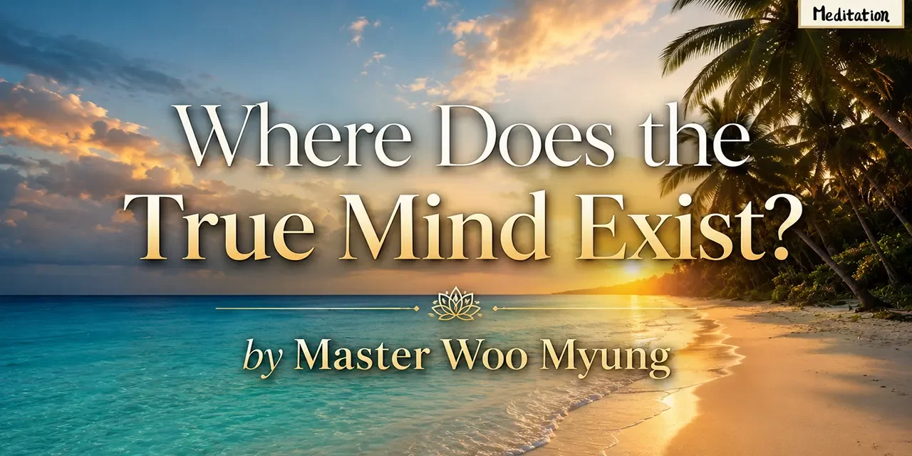 💎 Where Does the True Mind Exist? | Master Woo Myung | Santa Clara Meditation