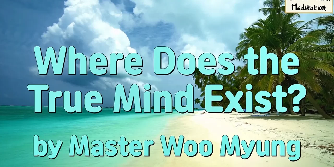 💎 Where Does the True Mind Exist? | Master Woo Myung | Santa Clara Meditation